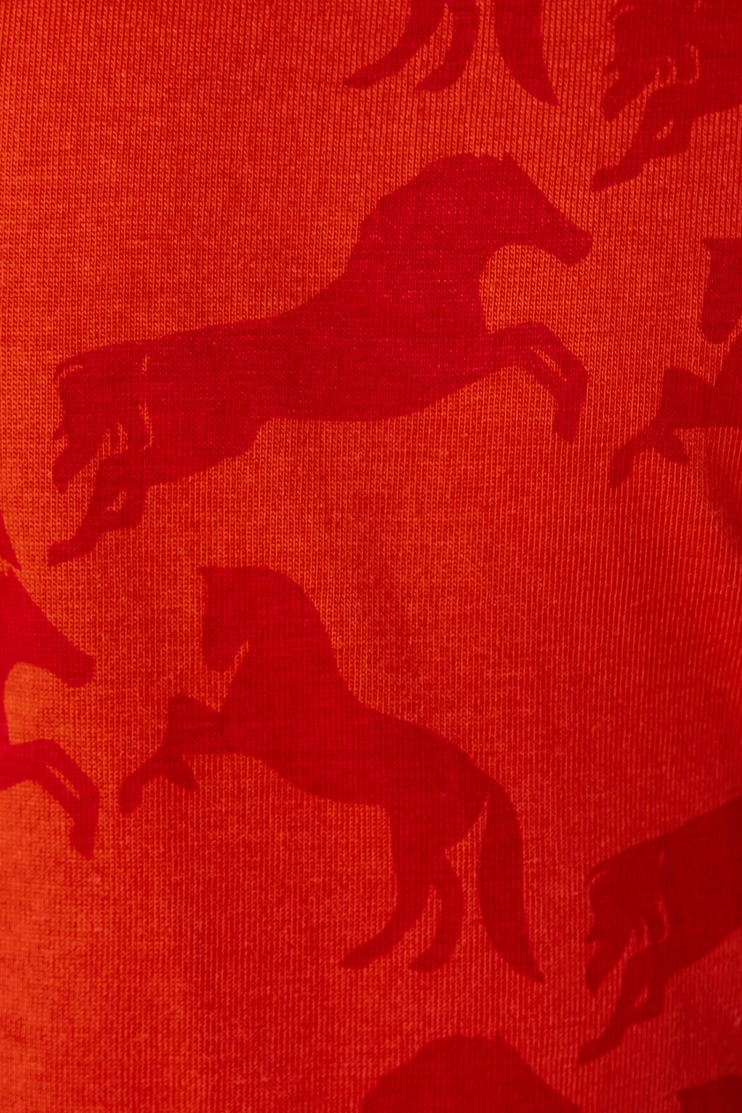 Horze Micky Kids Printed Organic Cotton T-Shirt