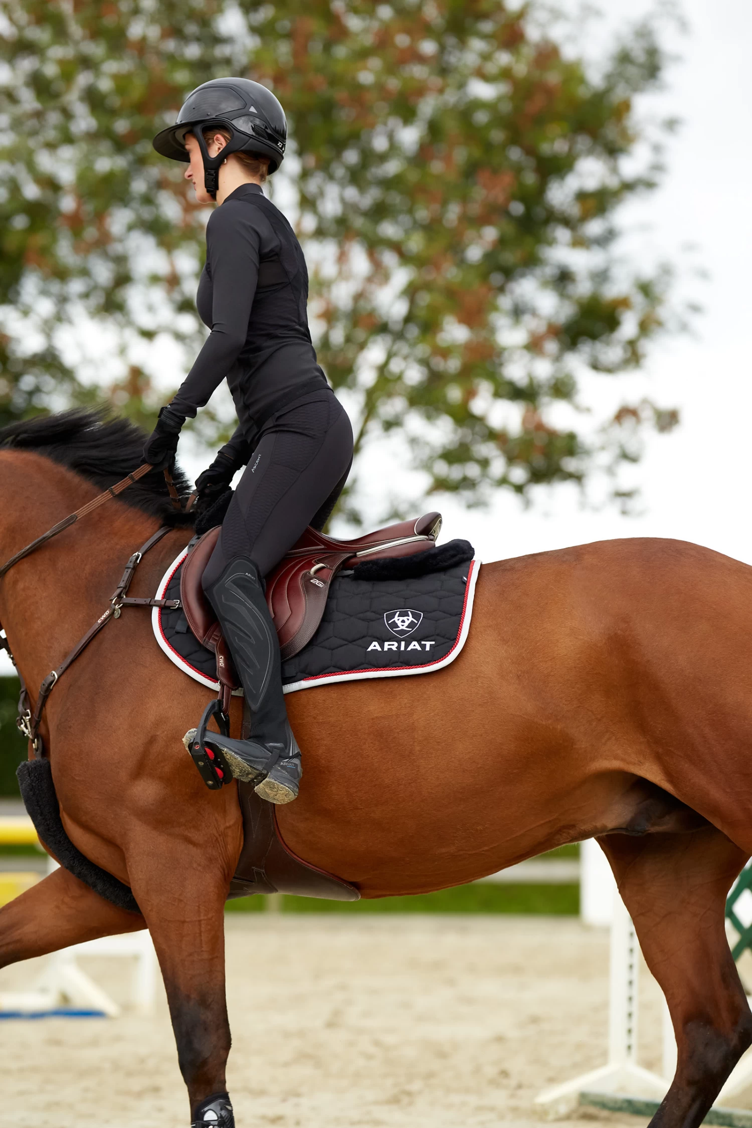 Ariat Ascent Women's Knee Grip Tights