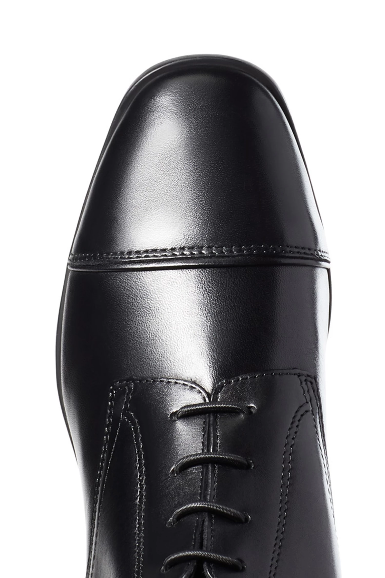 Ariat Palisade Women's Tall Riding Boots