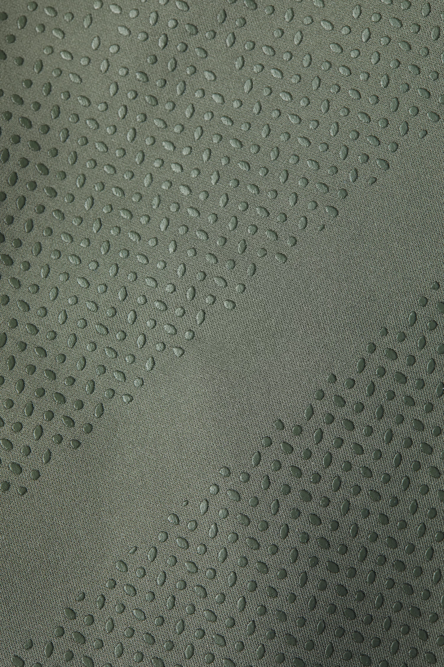 B Vertigo Caitlin Women's Full Seat Riding Tights with High Waist