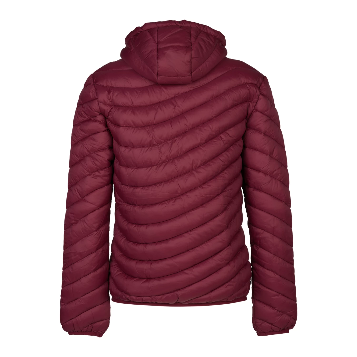 Women's Puffer Riding Jacket with Hood